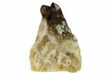 Smoky Citrine Crystal Cluster - Lwena, Congo #128418-1